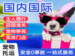 布拉克空运公司国际宠物托运 【国